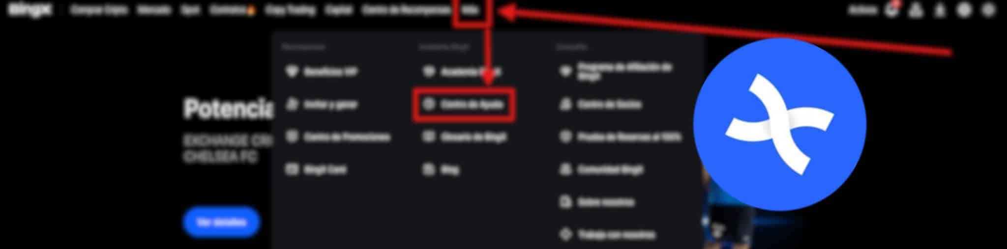 Guía actualizada extracción histórico Bingx 
